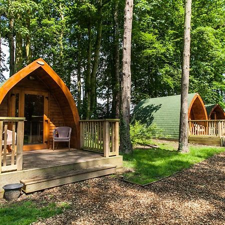 Pinewood - At Port Lympne Reserve Hythe (Kent) Exterior foto