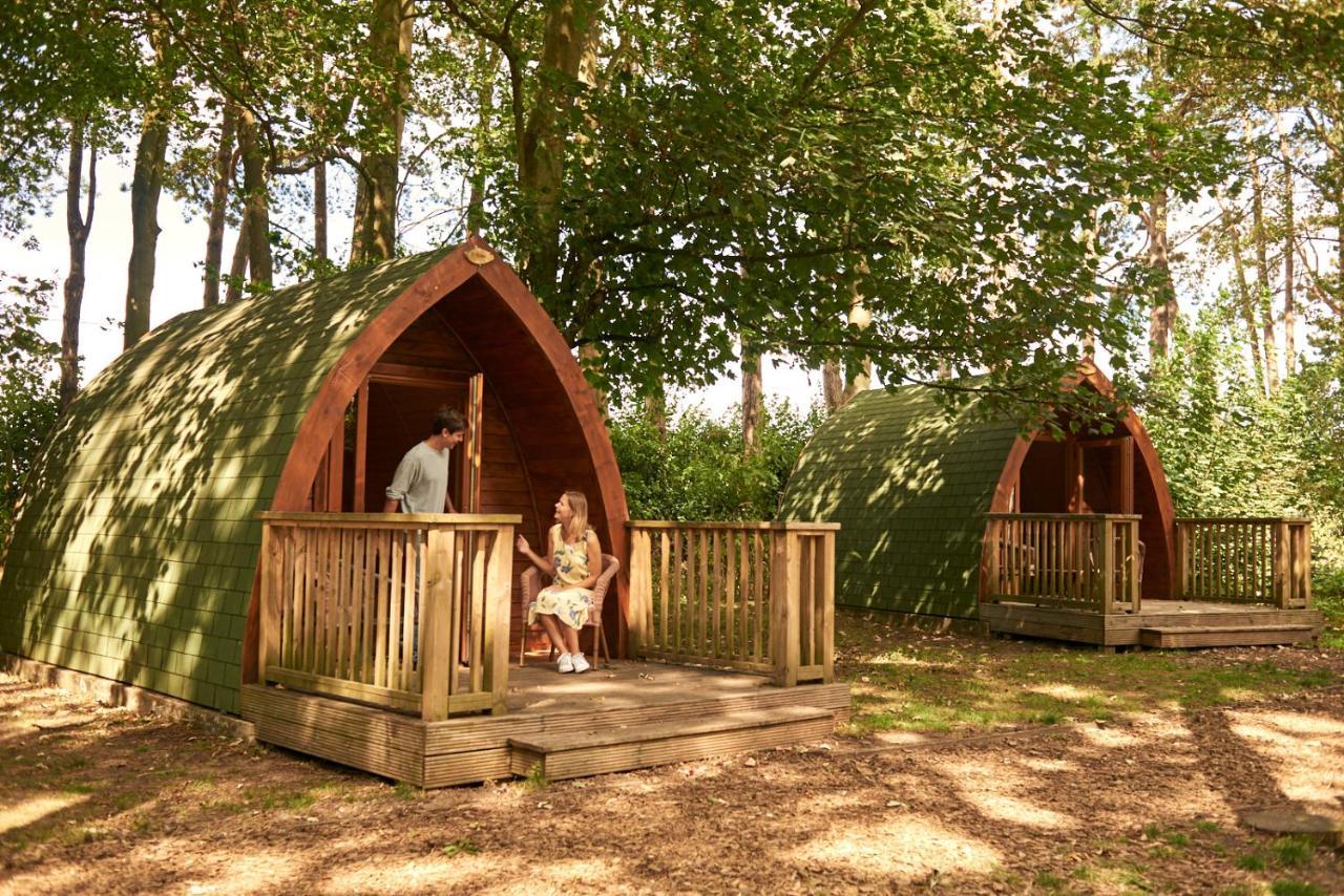 Pinewood - At Port Lympne Reserve Hythe (Kent) Exterior foto