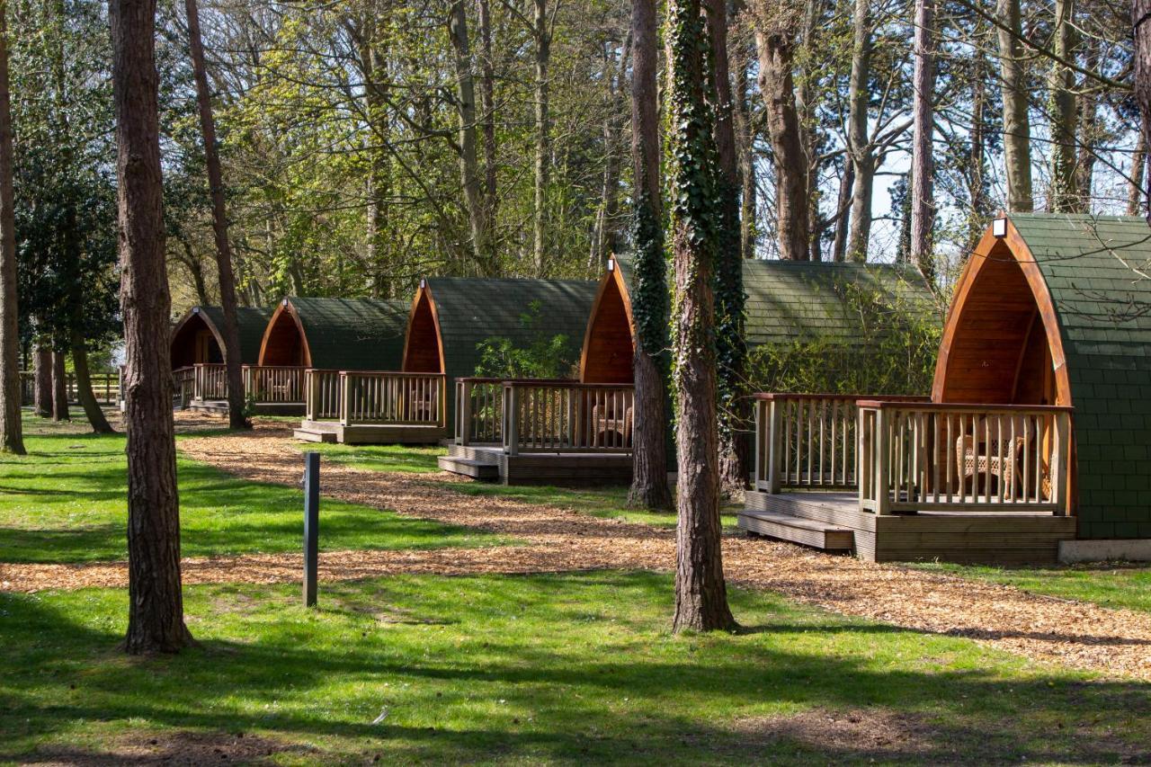 Pinewood - At Port Lympne Reserve Hythe (Kent) Exterior foto