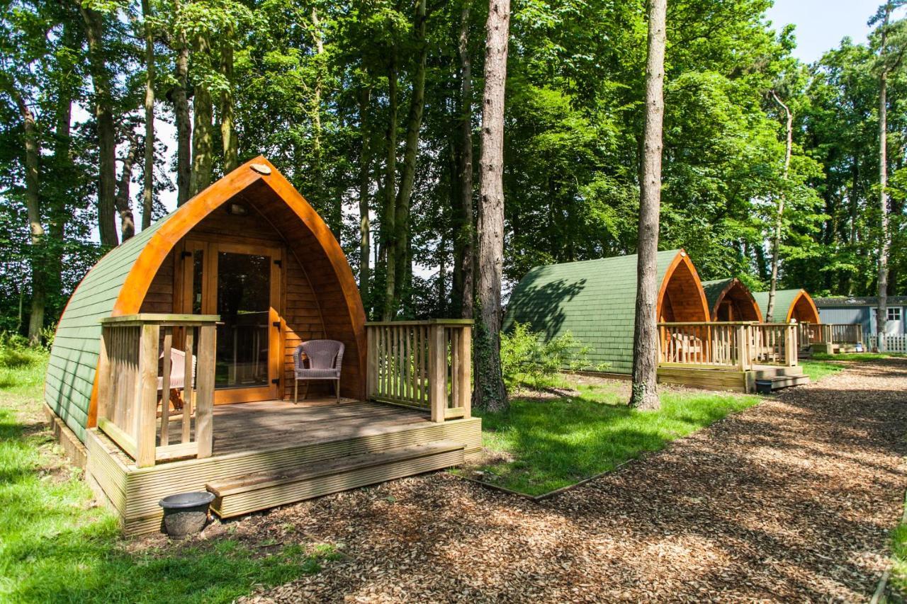 Pinewood - At Port Lympne Reserve Hythe (Kent) Exterior foto